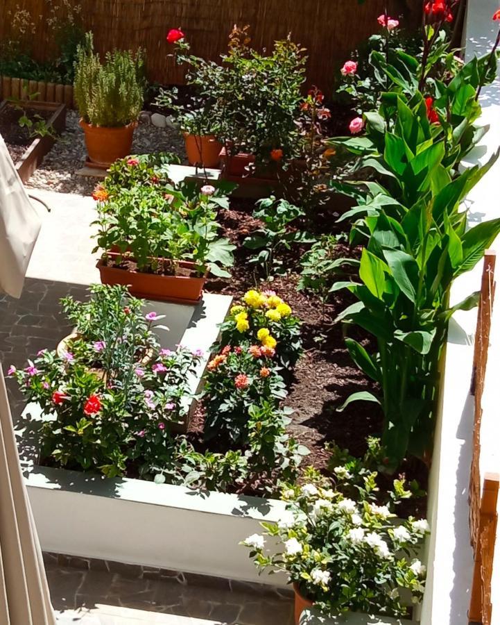 Charming Garden Apartment Rhodes City Camera foto